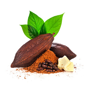 Cacao (manteca)