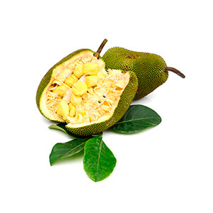 Jackfruit (Jaca)